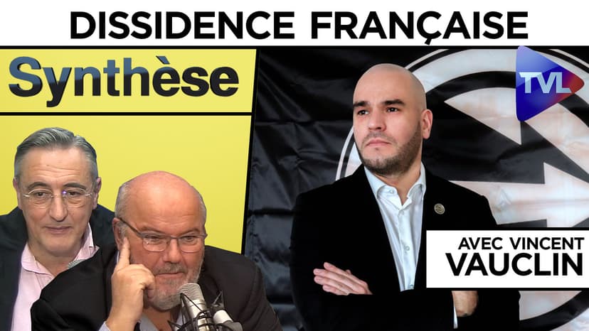 Synthèse n°6 : Dissidence française avec Vincent Vauclin