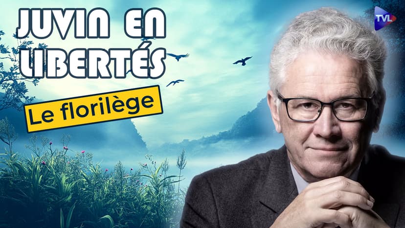Juvin en Libertés - Le florilège (12/2024 - 01/2025)