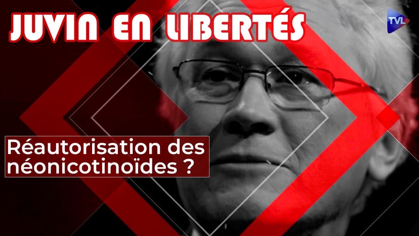 Juvin en Libertés - Vers la réautorisation des néonicotinoïdes ?