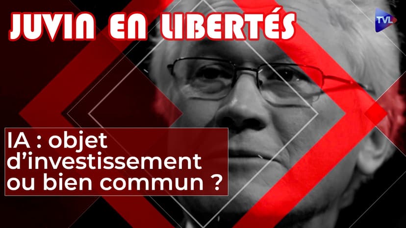 Juvin en Libertés - IA : objet d'investissement ou bien commun ?
