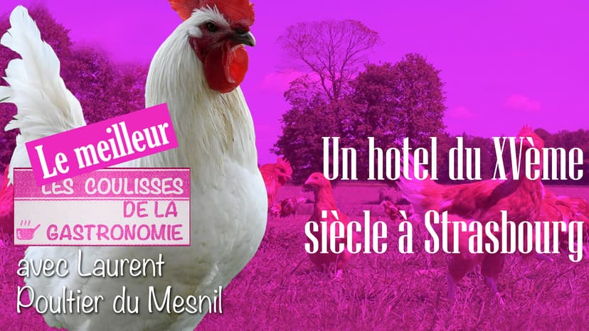 Les coulisses de la gastronomie - Le meilleur - Un hôtel du XVeme siècle à Strasbourg